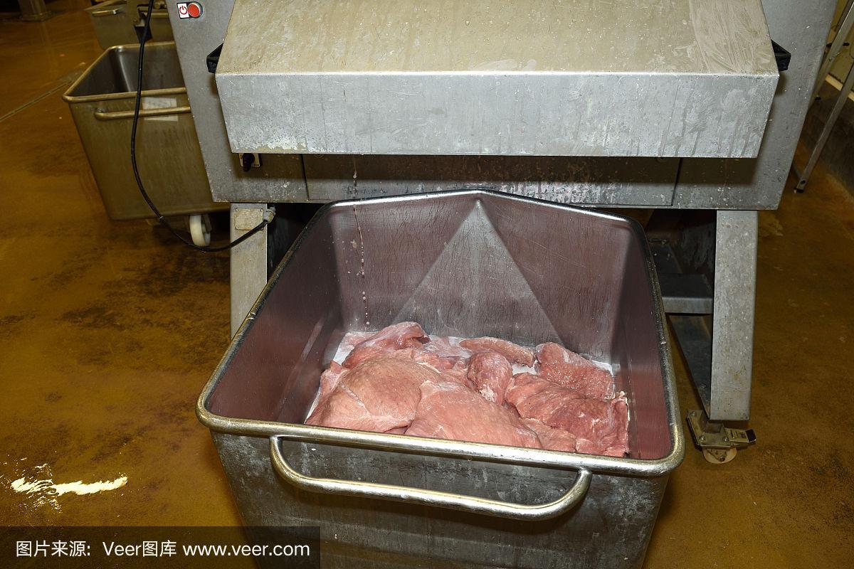 肉,工業(yè),食品加工廠,商務(wù),食品